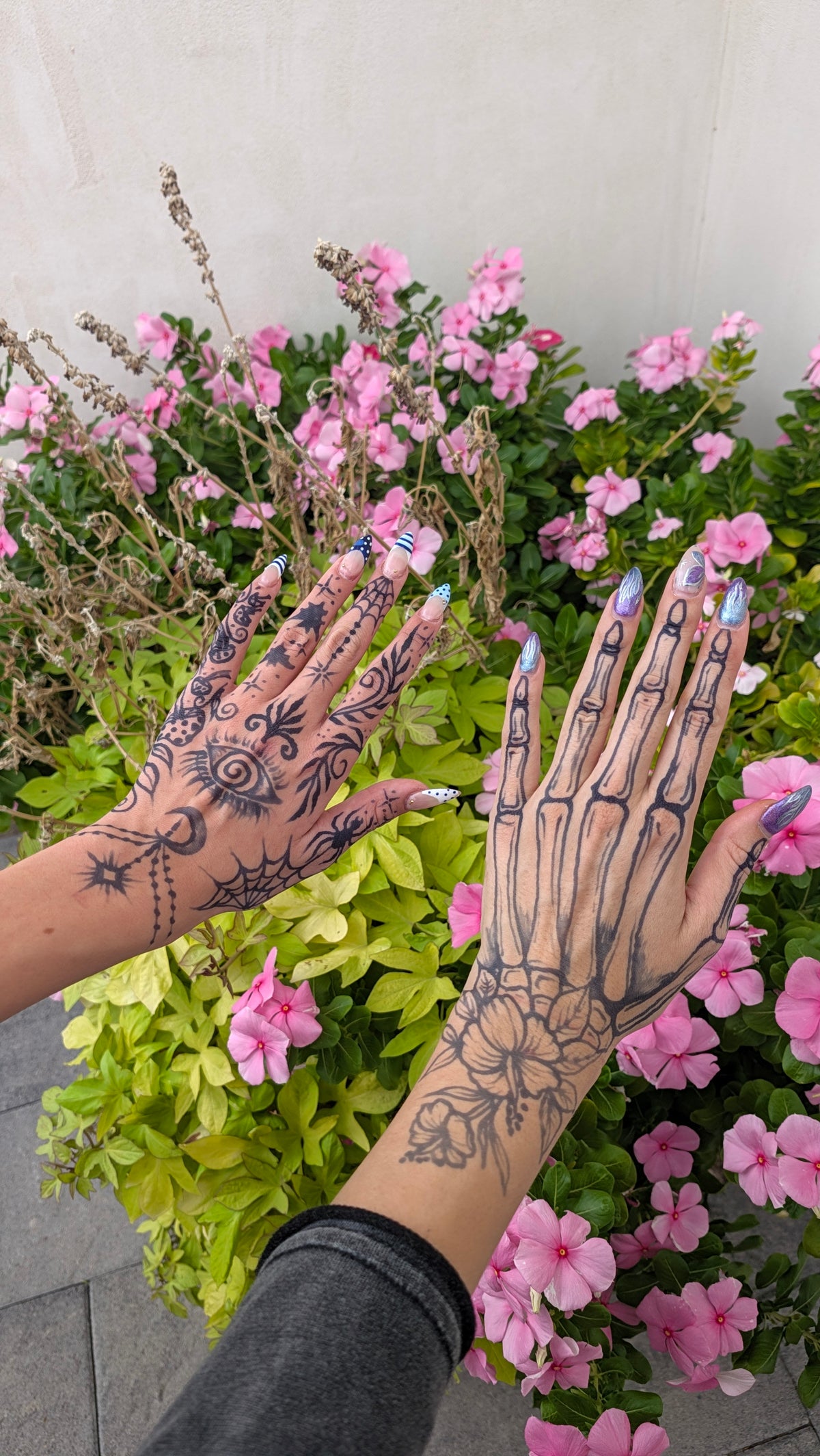 Jagua Gel Cones